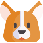 corgi